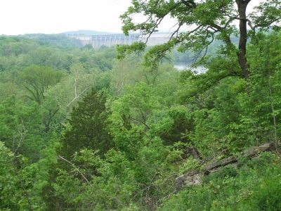 Branson Condo